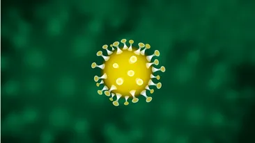 Noul bilanț al îmbolnăvirilor cu noul coronavirus în România. Încă 320 de cazuri noi de îmbolnăvire