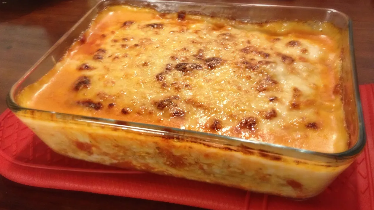 Scandal de amploare în Marea Britanie! Carnea de cal descoperită în lasagna provenea din România