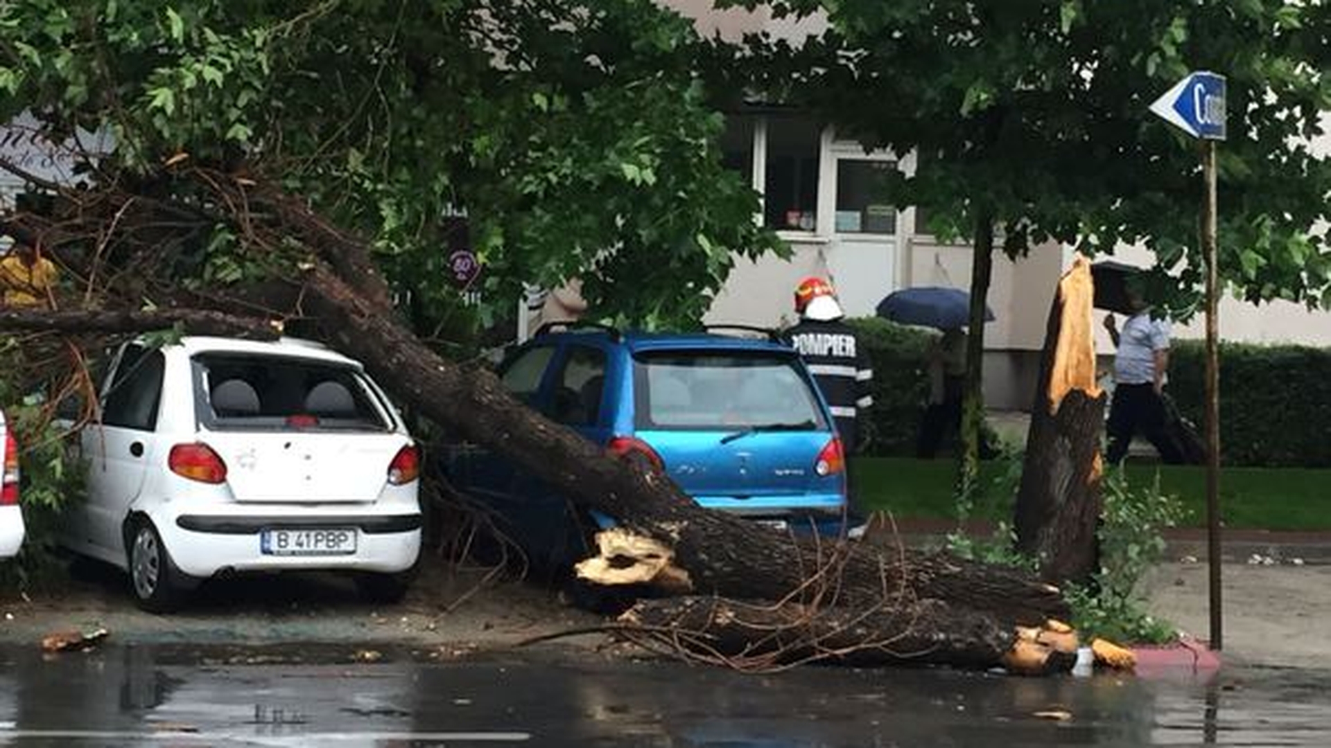 Ploaia a făcut ravagii în Capitală: 21 de copaci căzuți, 13 mașini avariate și șase gospodării inundate