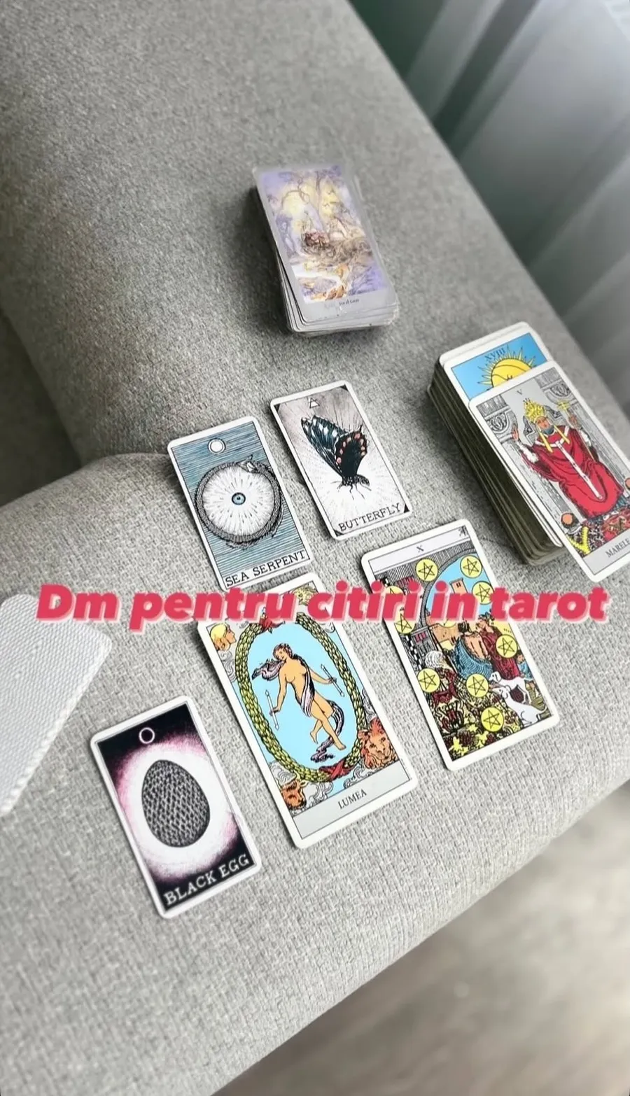 Sursa: Instagram/ Delia Salchievici 