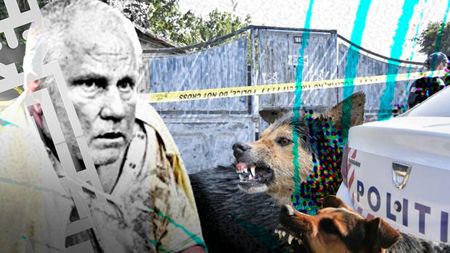 Imagini în premieră cu haita care a ținut-o ostatică pe Alexandra în "casa morții". Ce s-a întâmplat cu câinii ucigașului în serie din Caracal