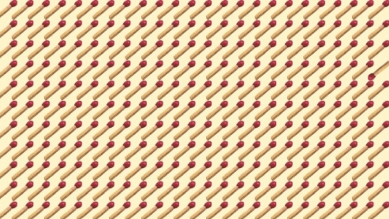 Test IQ pentru genii | Doar cei cu o minte sclipitoare descoperă bățul de chibrit diferit din imagine