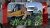 Tragedie în Arad. Șoferul unui microbuz cu pasageri a murit după ce i s-a făcut rău la volan. Vehiculul a ajuns în câmp