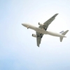 Problemă descoperită la unul dintre cele mai populare avioane Airbus! Sunt afectate circa 500 de aeronave