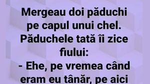 Bancul de weekend | Mergeau doi păduchi pe capul unui chel