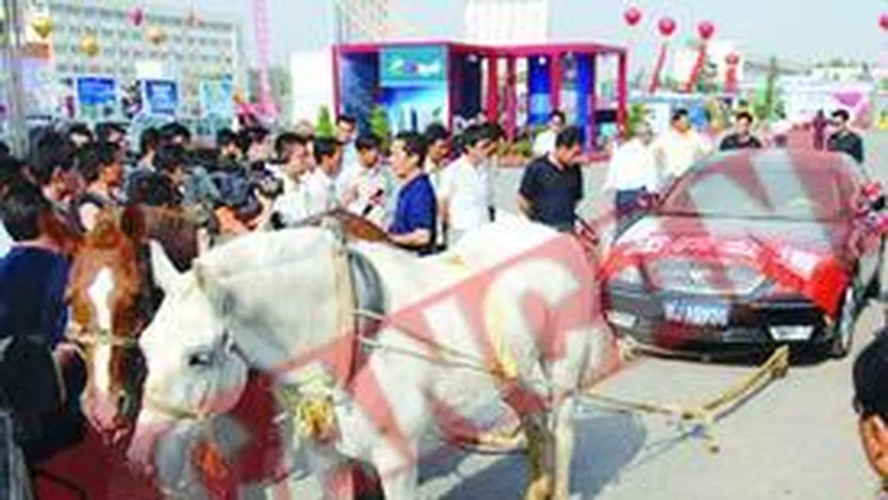 Limuzina trasa de cai