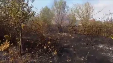 Tragedie în Olt. Un bărbat de 77 de ani a sfârșit carbonizat într-un incendiu de vegetație