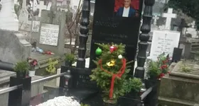 Galerie foto - poza 2