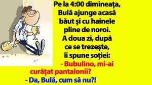 BANC | Pe la 4:00 dimineața, Bulă ajunge acasă băut și cu hainele pline de noroi