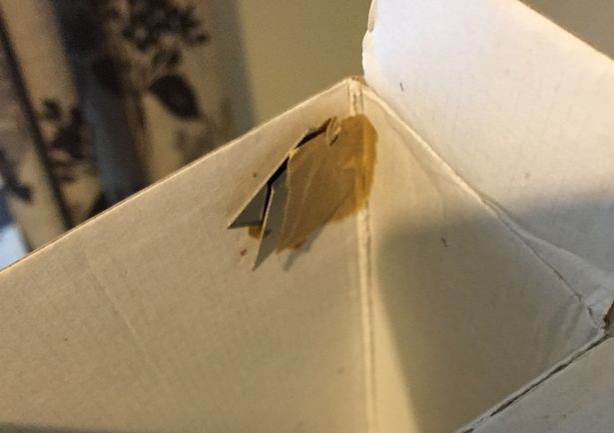 I-a cumpărat fiicei sale o jucărie, dar a fost şocată când a deschis cutia: „Era plină de sânge”. Femeia a fotografiat ce a găsit în interior, iar imaginile au ajuns virale