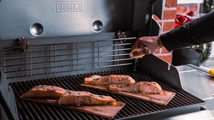 (P) Idei de rețete sănătoase și delicioase care pot fi gătite pe un grătar cu gaz premium