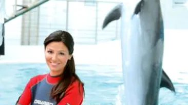 Oana Cuzino, pictorial la delfinariul din Constanta alaturi de trei delfini