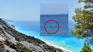 Turiștii sunt în alertă! Un rechin a fost văzut înotând aproape de țărm, pe o insulă din Grecia