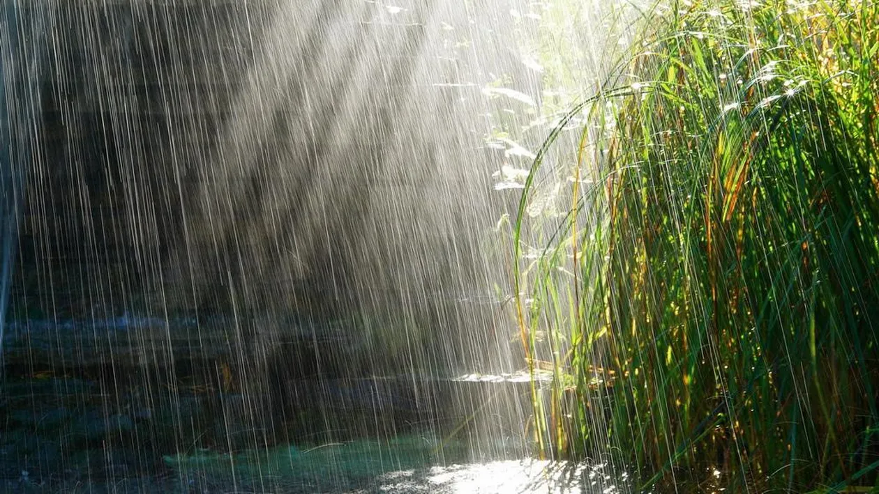 Vremea se schimbă radical, de joi. Ce se întâmplă în ţară şi la Bucureşti