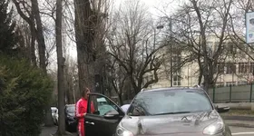 Galerie foto - poza 2