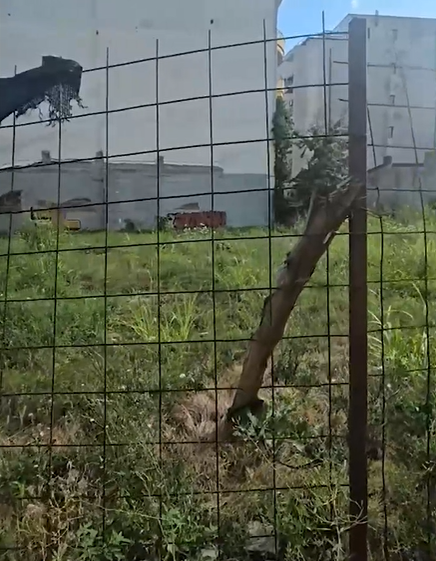 Cum arată astăzi casa lui Vasile Turcu? La 10 ani de la moartea sa, a rămas doar o ruină