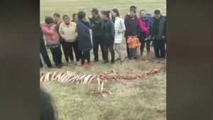 Au găsit un schelet ciudat şi au fost şocaţi, iar în imagini se poate vedea clar că e vorba de o creatură uriaşă: "Chiar există!"