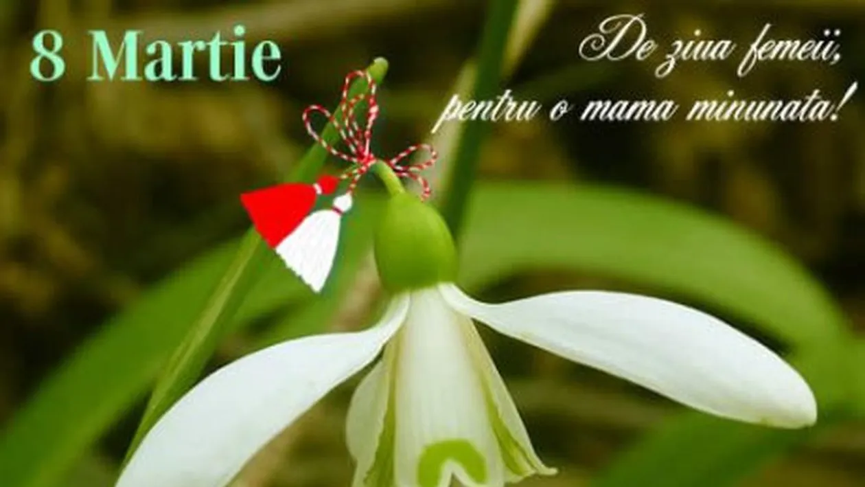 Imagini 8 martie 2018. Trimite-i mamei tale cea mai frumoasă felicitare de ziua femeii