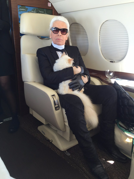 Este de necrezut! Cine va moșteni averea de 250 de milioane de dolari a lui Karl Lagerfeld