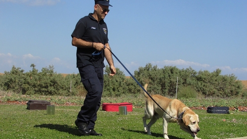 Armata germană antrenează câini pentru a detecta persoanele infectate cu coronavirus
