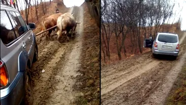 Imagini incredibile în România. O maşină de teren a fost scoasă din noroi cu ajutorul a doi boi