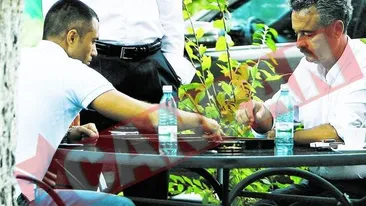 Cobra musca si la table