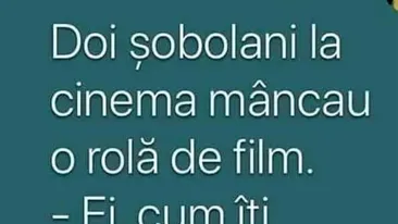 BANCUL ZILEI | Doi șobolani, la cinema