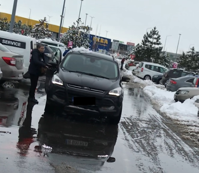 Doamna Irina, soția lui Marcel Iureș