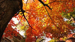MERTEO 21 SEPTEMBRIE! Vremea se va schimba radical! Ce spun meteorologii