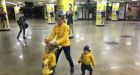 Galerie foto - poza 3