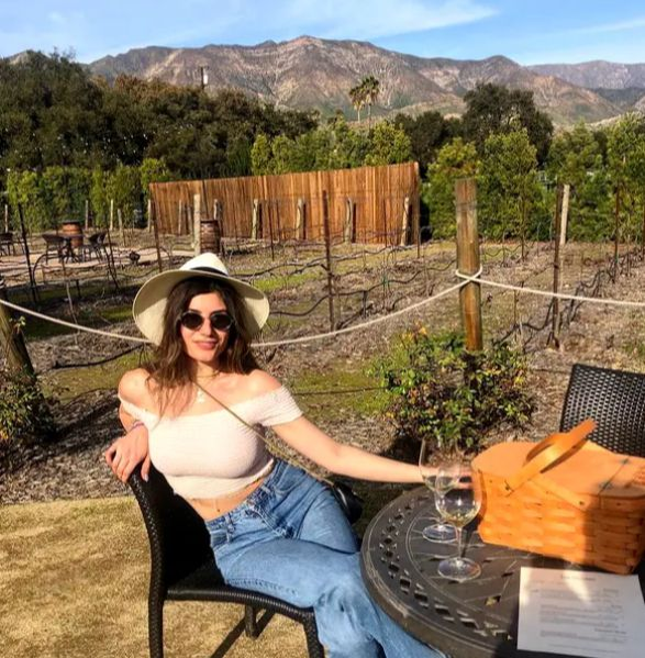 Fiica lui Mircea Geoană, apariție de senzație în Beverly Hills. A ales o rochie de seară care a întors toate privirile