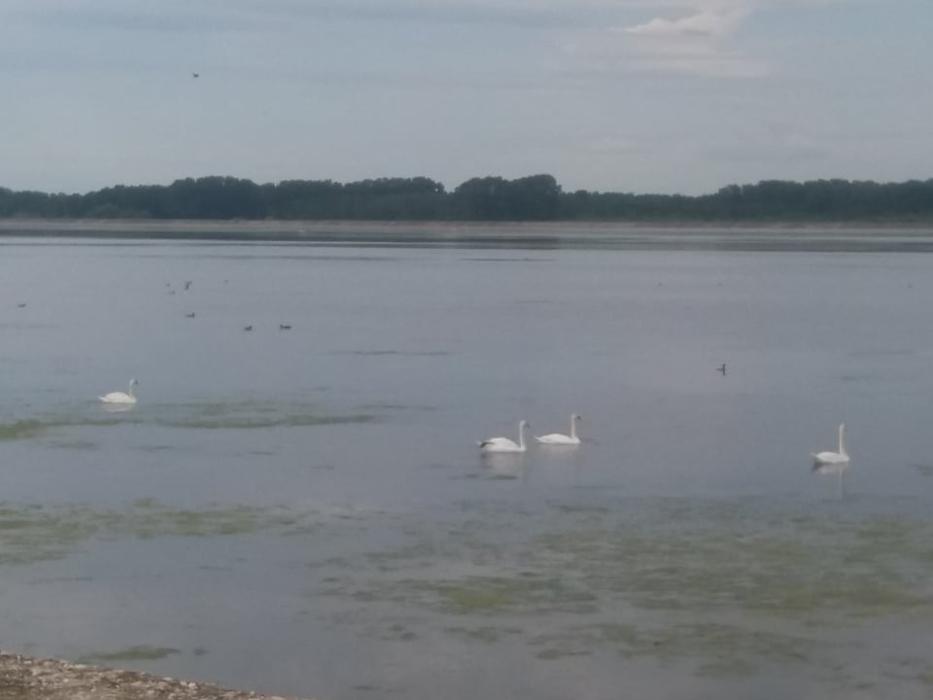 Delta Olteniei este la aproximativ 15 kilometri de Slatina