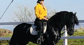 Galerie foto - poza 2