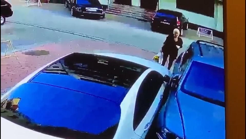 EXCLUSIV. Curg denunțurile la adresa Mihaelei Nunweiller. “S-a bătut în fața blocului cu sora ei, care are dungă roșie în buletin!” De unde a pornit scandalul