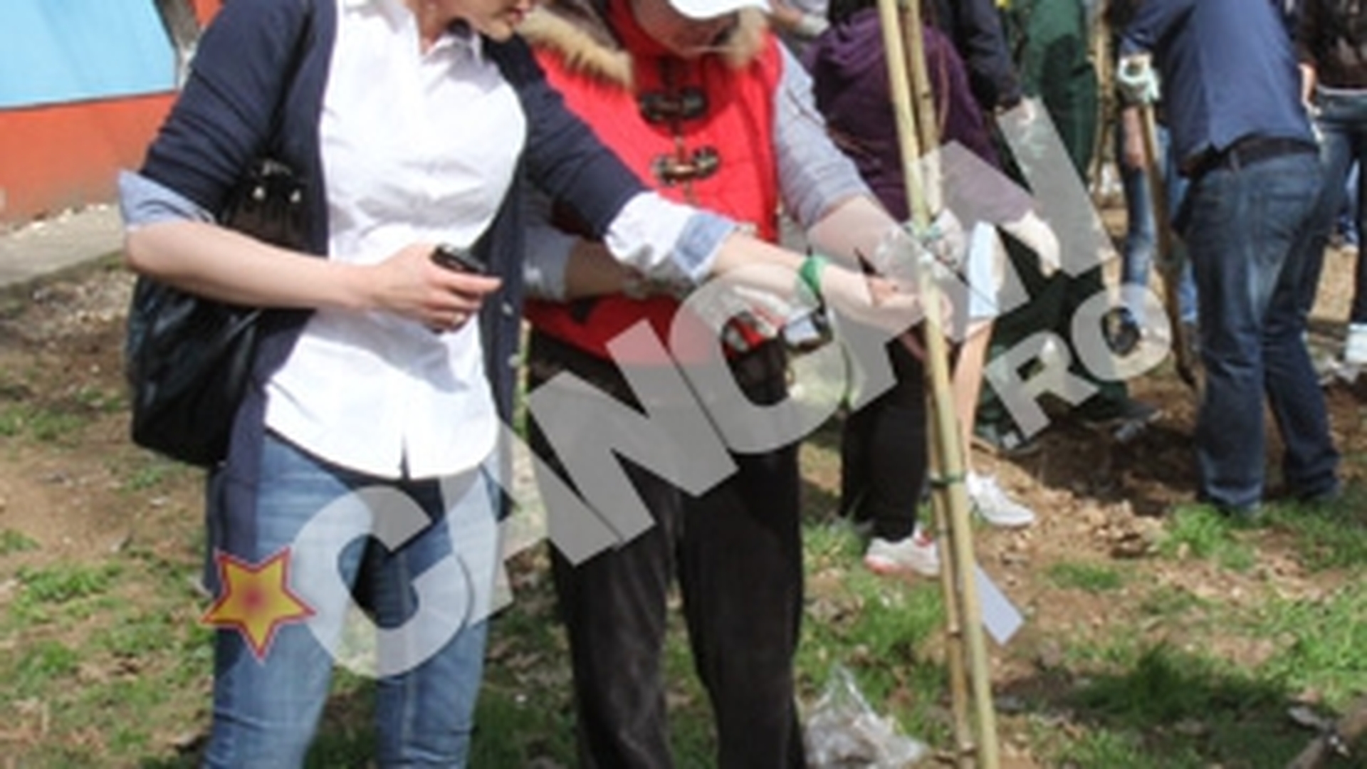 Capitala creste verde: o suta de copaci au fost plantati astazi in curtea liceului PTTR