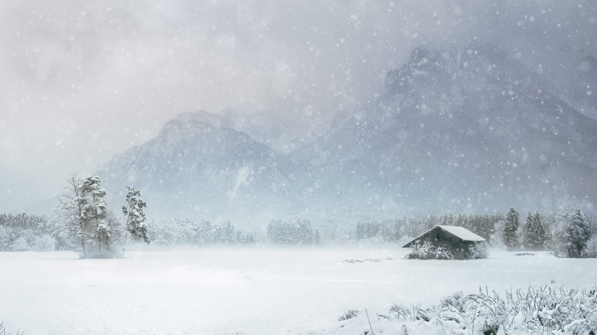 Prognoza meteo azi, 25 februarie 2026. Sud-Vestul țării se încălzește ușor, în timp ce la munte revin ninsorile și vântul puternic