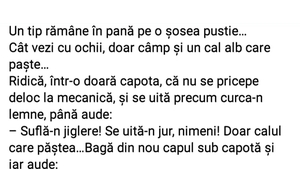 Bancul sfârșitului de săptămână | Tipul rămas în pană și calul vorbitor