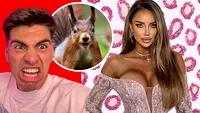 Am găsit „animalul spiritual” al fiecărei vedete. Și culmea li se potrivește PERFECT! Bisoi, veverița hiperactivă sau Bianca, leopardul roz cu paiete | EXCLUSIV
