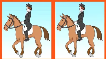 Test de perspicacitate | 3 diferențe în maximum 31 de secunde: Le puteți identifica pe toate?