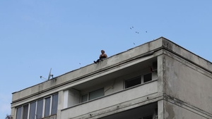 Protest extrem în Capitală! Două femei s-au urcat pe un bloc şi cer...