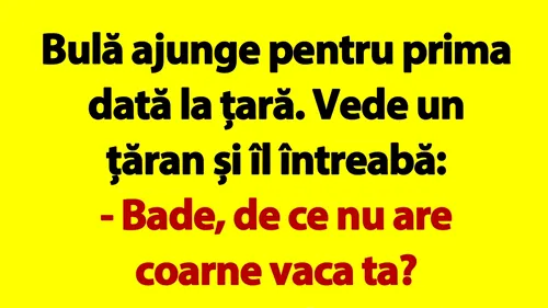 BANC | Bulă se duce la țară: Bade, de ce nu are coarne vaca ta?