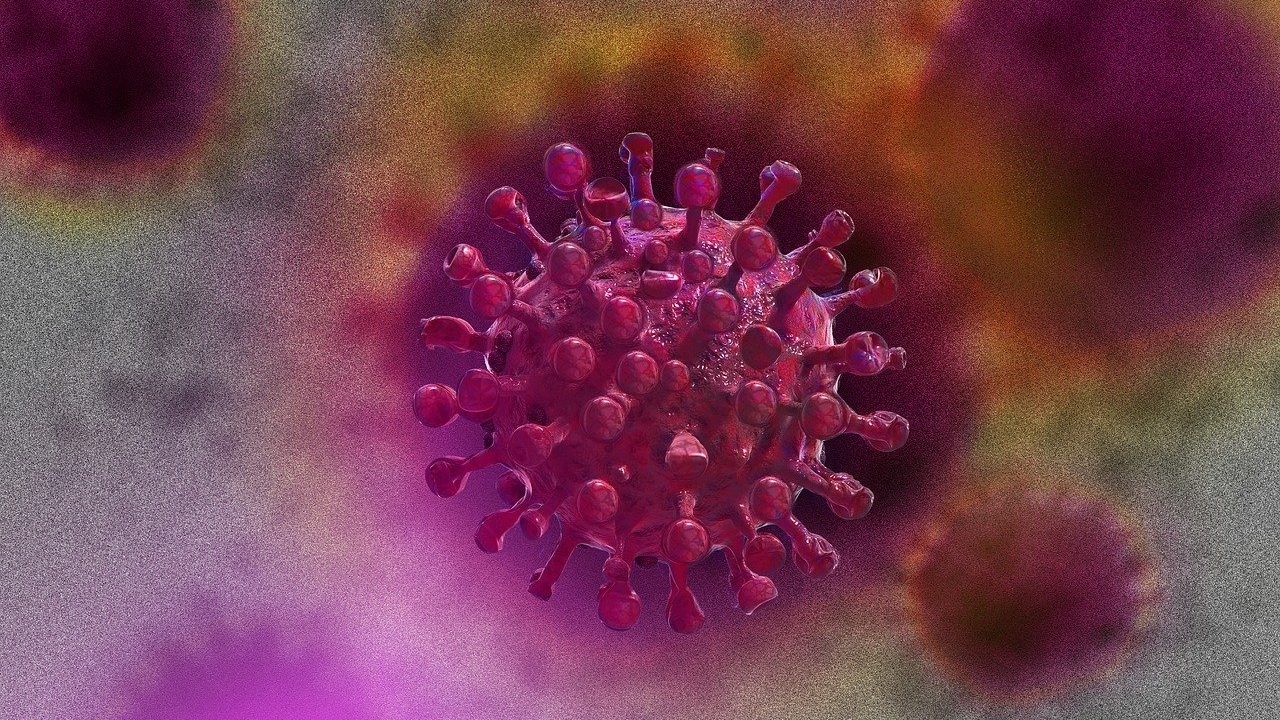 Numărul de persoane infectate cu noul coronavirus în România a ajuns la 11.978. Record la capitolul testare și vindecare