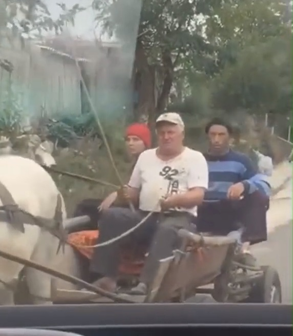 Vulpița și Viorel, în propriile roluri