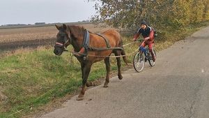 Bicicleta trasă de cal, inaugurată în Vaslui! Imagini de senzație VIDEO