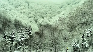 Circulatia pe Valea Oltului este inchisa din cauza pericolului de avalanse de pe versanti