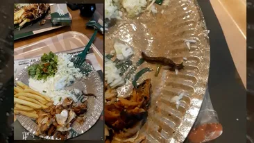 Incredibil! Ce a putut să găsească un orădean într-o șaorma: ”Am văzut că se mișcă ceva”