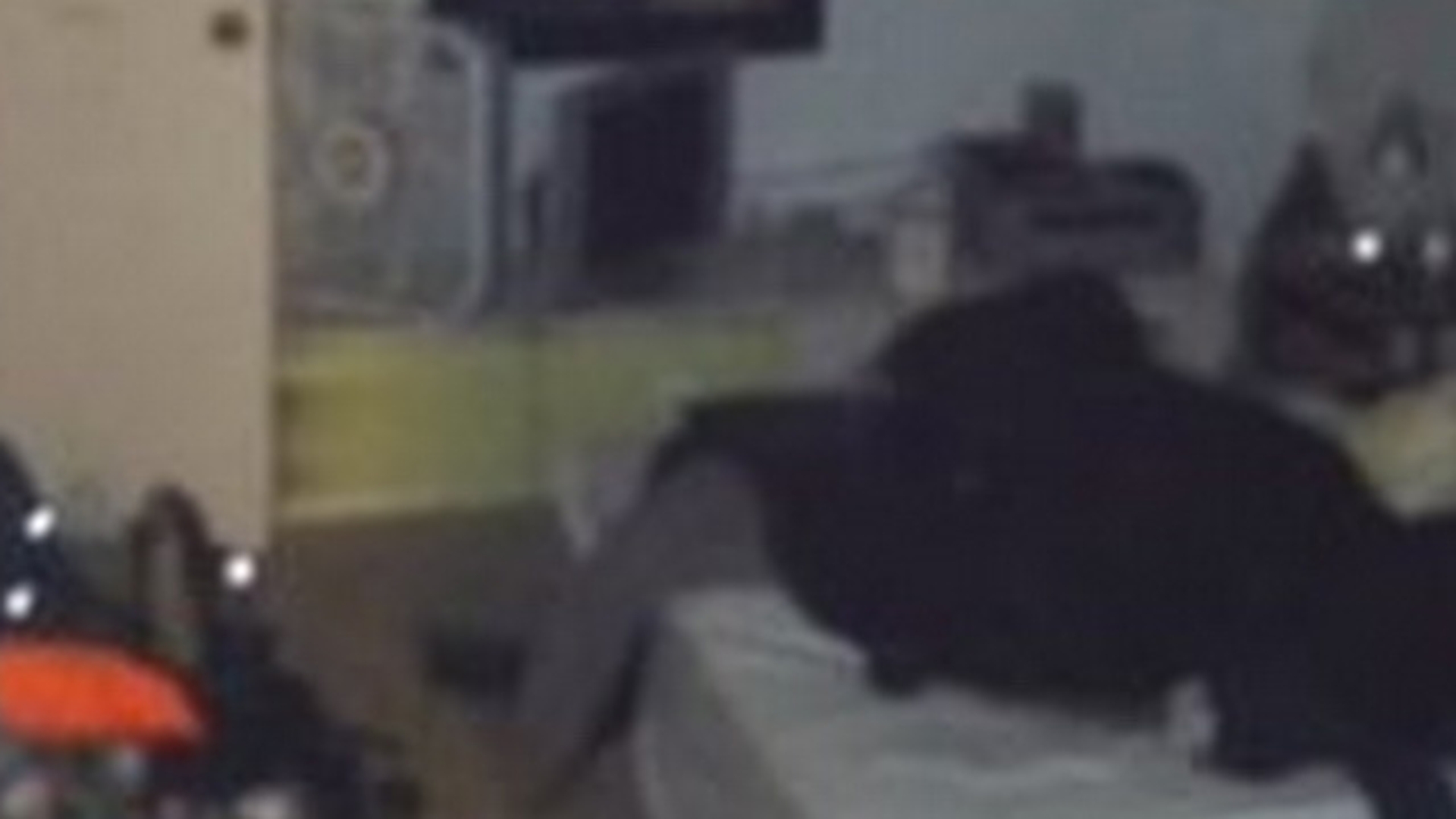 Au crezut ca au o fantoma in casa! Ce au descoperit cand au coborat in pivnita incuiata! "Nu credeam ca e posibil asa ceva"