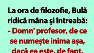 BANC | La ora de filozofie, Bulă ridică mâna și întreabă