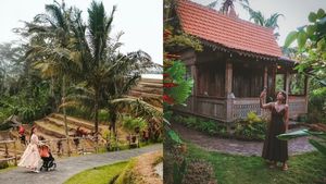 Nu e banc! Câți lei a plătit Dana Rogoz pentru o singură noapte de cazare, în Bali