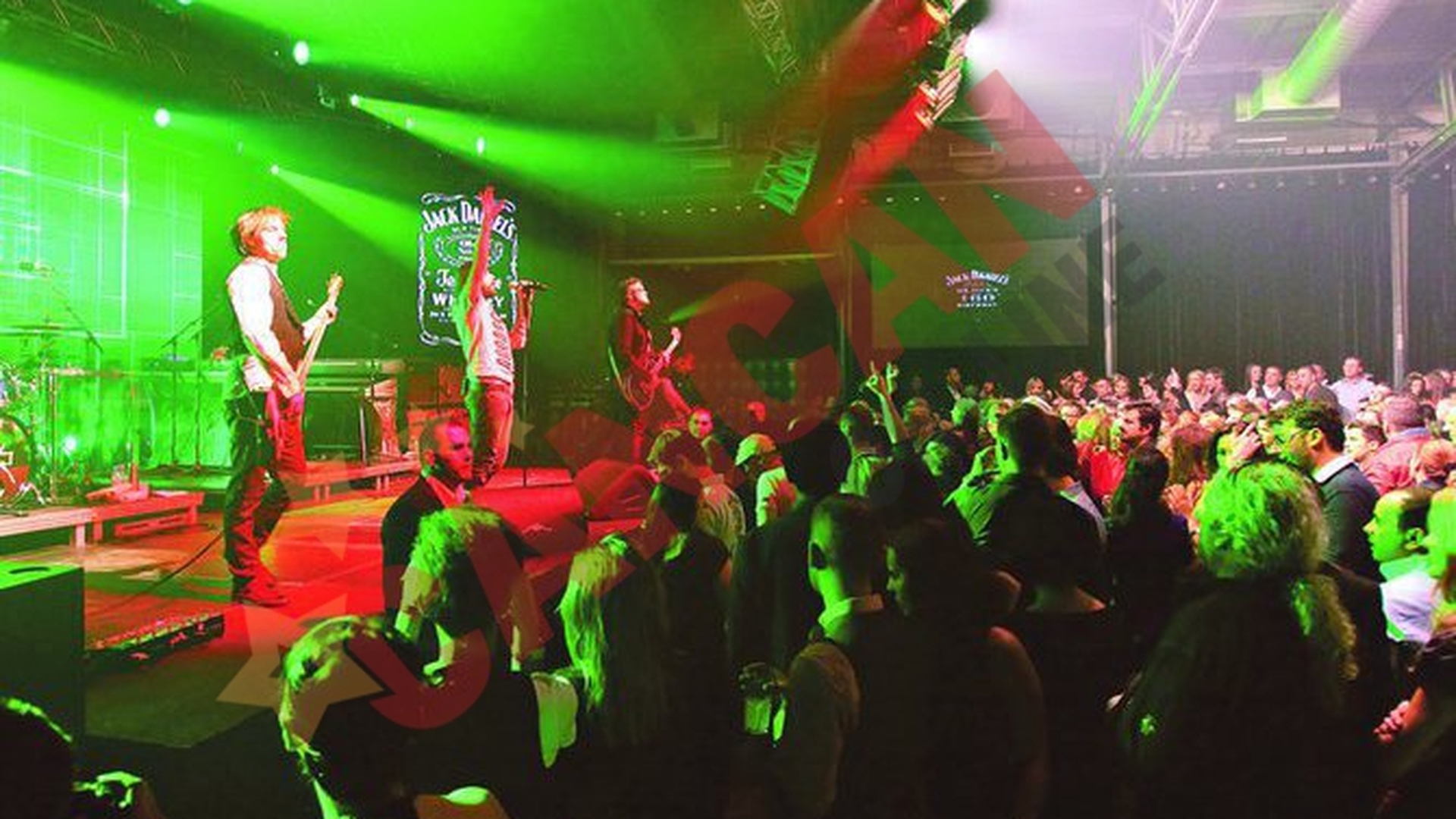 Invazie de vedete la concertul Reamonn